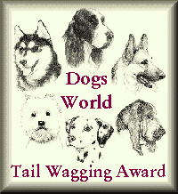 Award by Dogs World